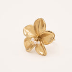 Bague Bohm Paris - Faustina Bague Épaisses Bohm Paris Doré 