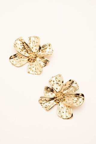 Boucles Bohm Paris - Liliane