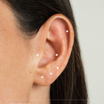 Piercings Lab Bohm Paris 