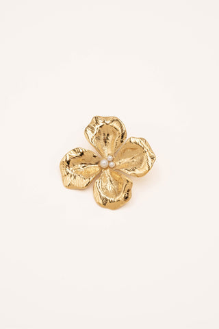 Pins Bohm Paris - Aube