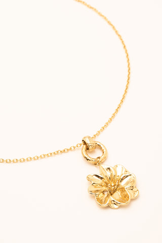 Collier Bohm Paris - Aiza